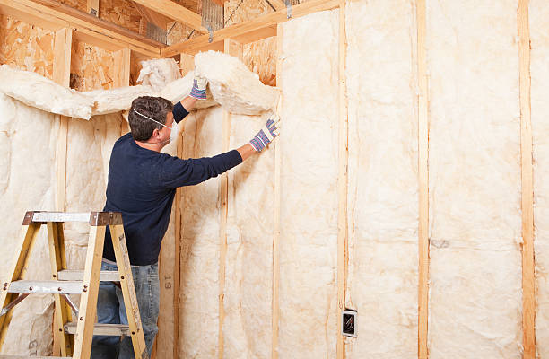 Best Reflective Insulation in Largo, FL